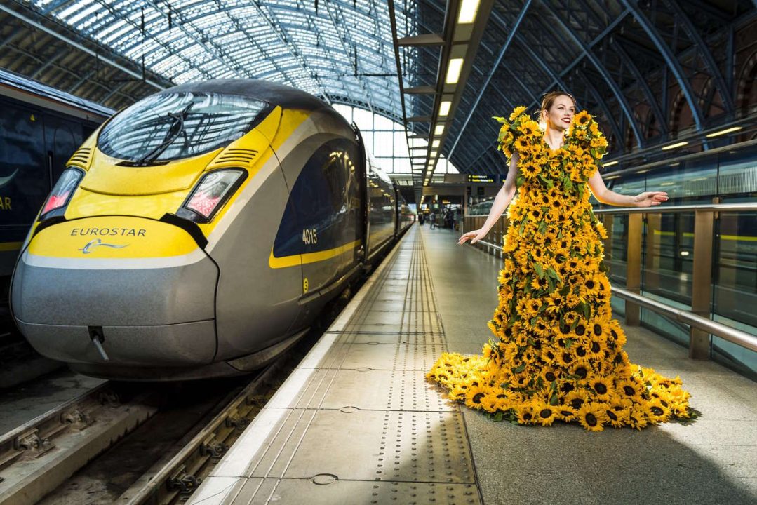 Eurostar Sunflowers