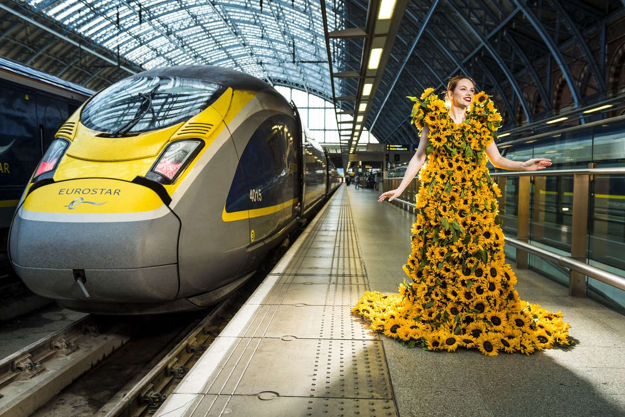 Eurostar Sunflowers