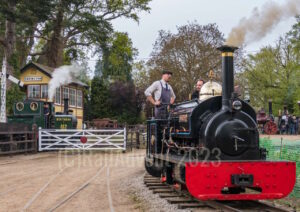 Gwynedd and Martello at the Bressingham Museum