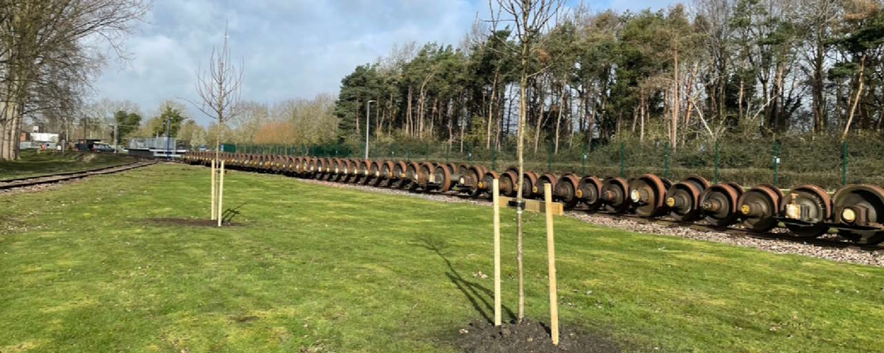 Long Marston tree planting