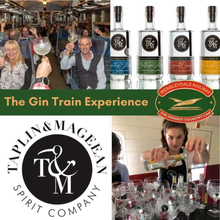 Gin train (social media)