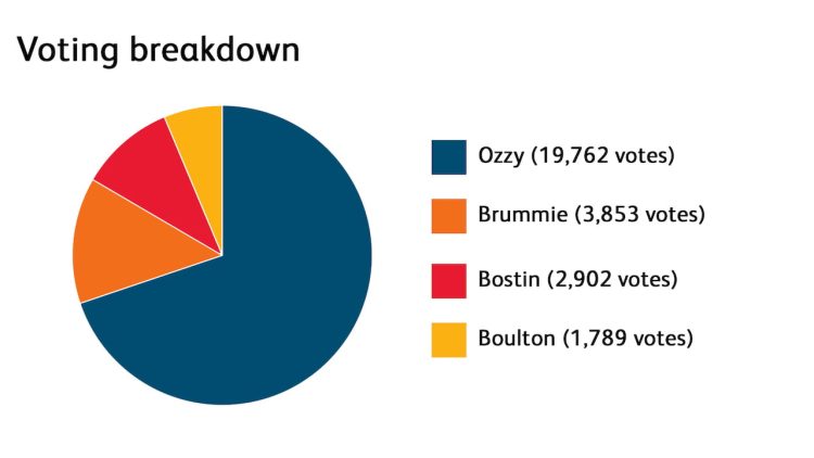 Voting breakdown pie chart