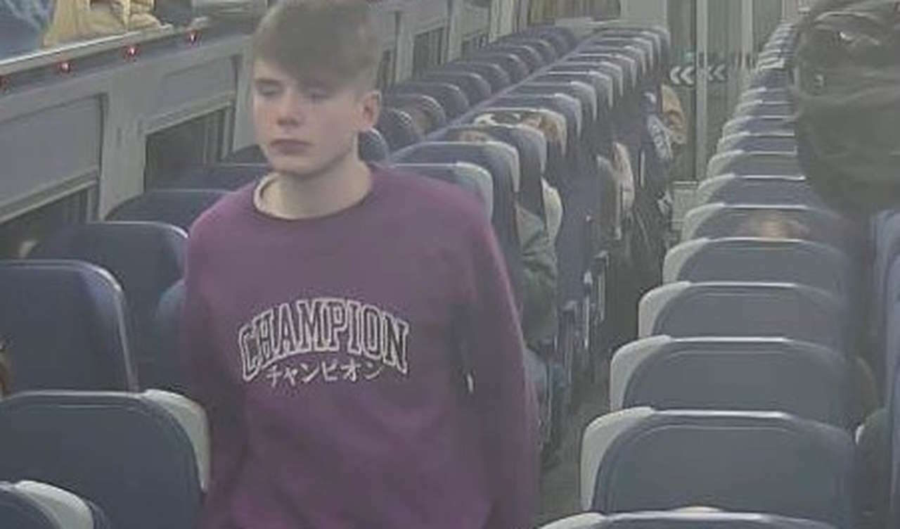 CCTV images released following incident on train