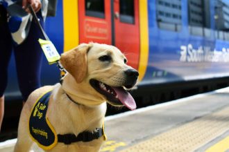 South Western Railway lead the way with Guide Dog training at Hampshire station.