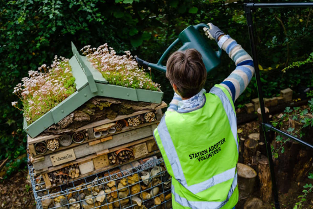 Adopter, Sandy Burn, watering the green roof on the Westerfield station's insect hotel