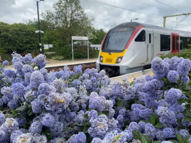 Greater Anglia train passes through Great Bentley railway station