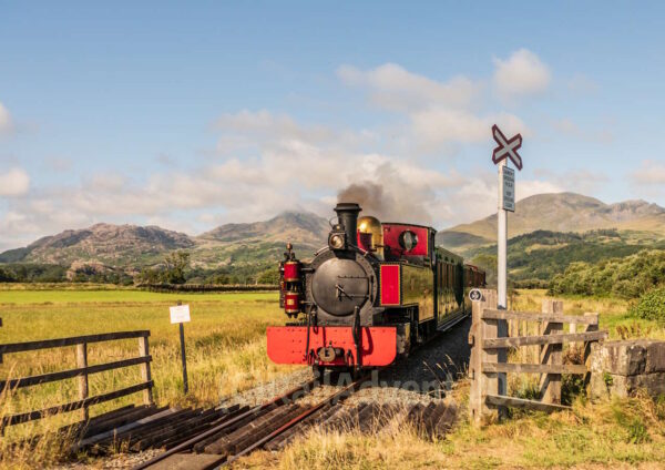 Russell near Pont Croesor, Welsh Highland Railway