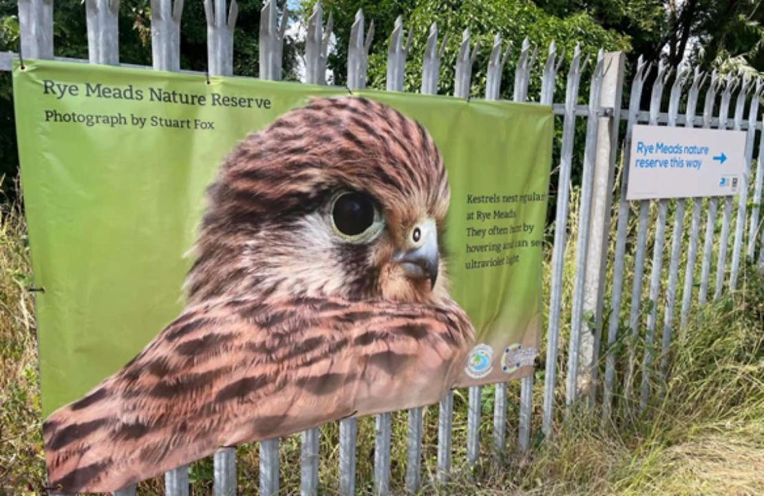 Rye Meads nature reserve sign