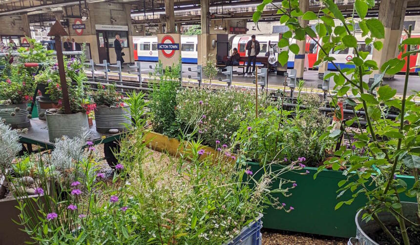 Acton Town Station In Bloom