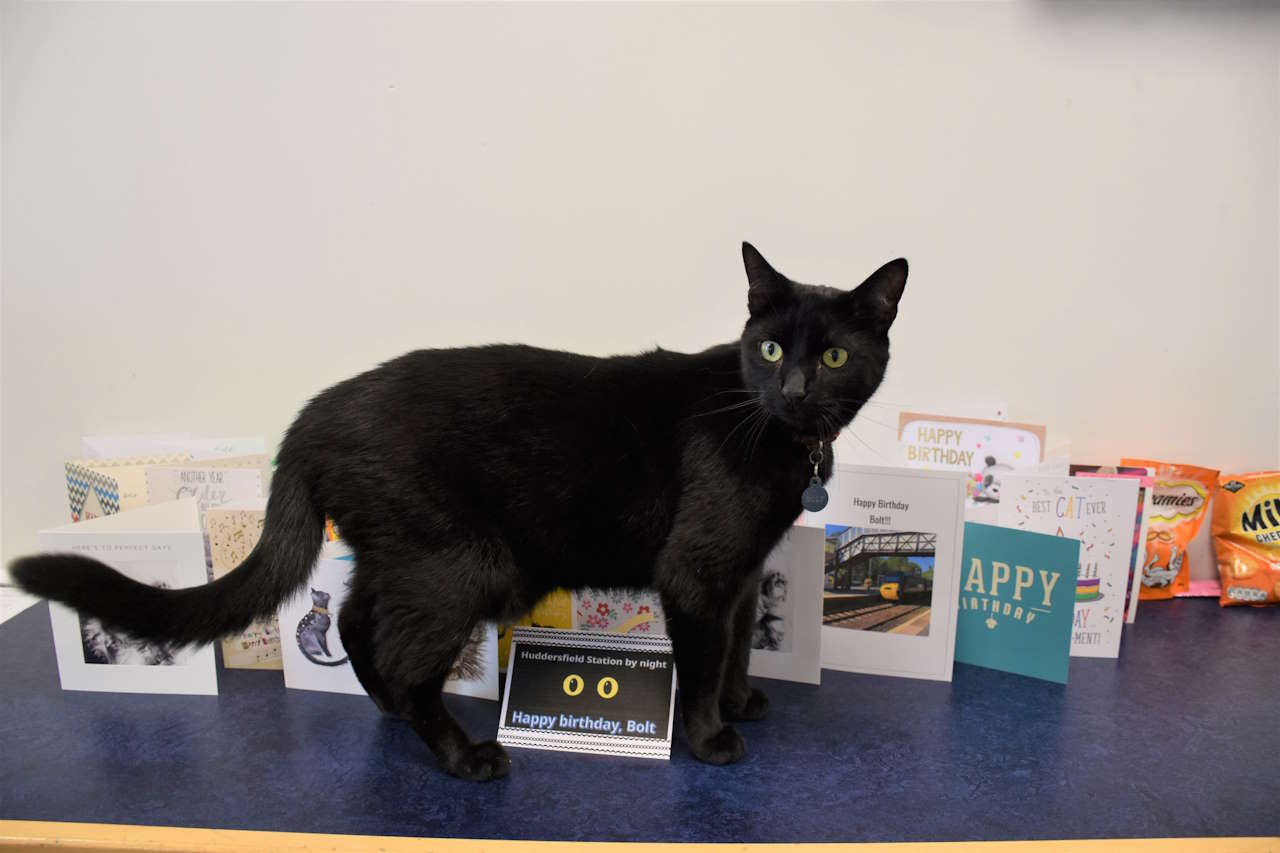 Birthday boy Bolt with his cards and gifts