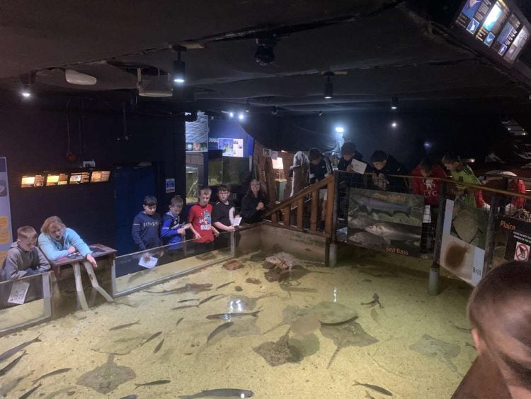 Children from Shackles Off enjoying the aquarium