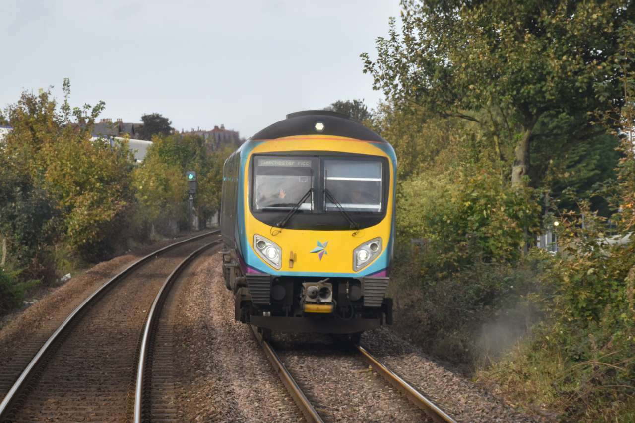 TPE Class 185 - Autumn leaves on the line