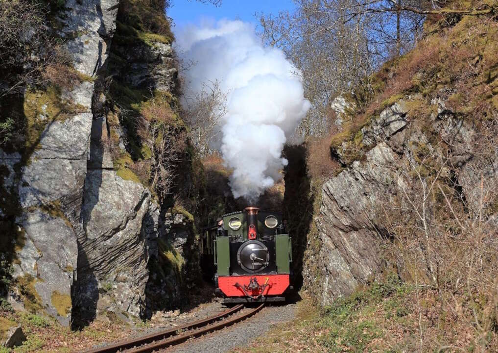 Tank locomotive No.7 Owain Glyndŵr, Quarry Cutting, Devil’s Bridge, Vale of Rheidol Railway, 11th April 2019, by Richard Bell.