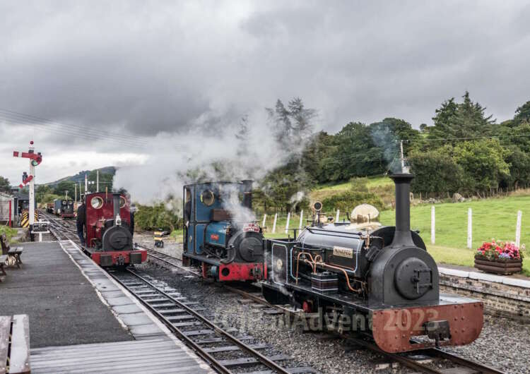 Winifred, Britomart, Maid Marian and Holy War, Bala Lake Railway