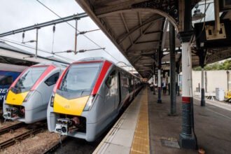 Fallen tree causes major disruption for Norwich trains