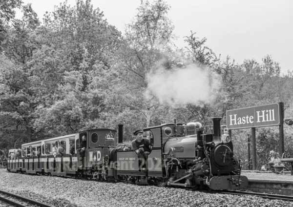 Mad Bess and Christopher at Haste Hill, Ruislip Lido Railway