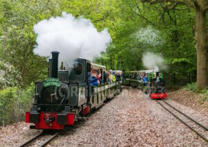 Mad Bess and Christopher on the Ruislip Lido Railway