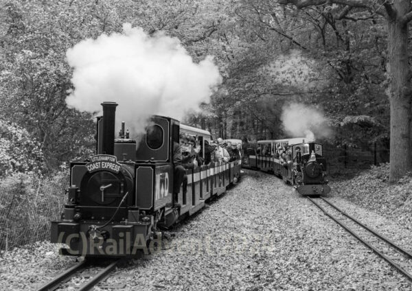 Mad Bess and Christopher on the Ruislip Lido Railway