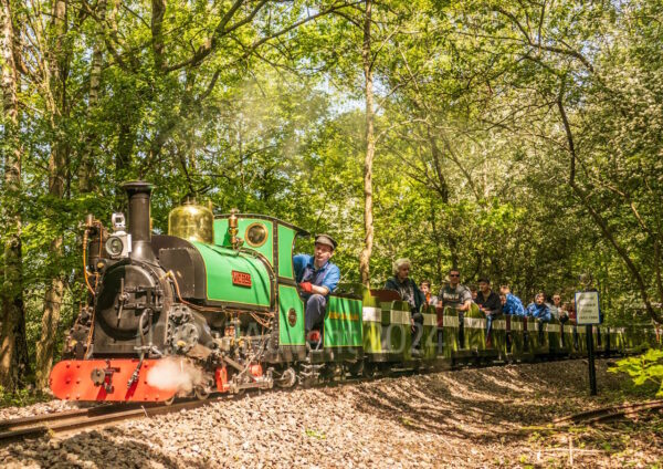 Mad Bess heads towards Woody Bay, Ruislip Lido Railway