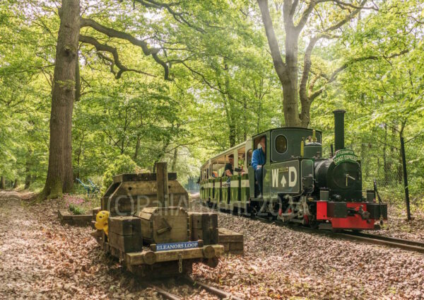 Christopher heads through Wellington Junction, Ruislip Lido Railway