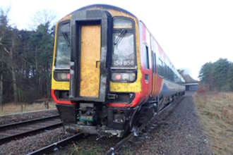 RAIB: Norfolk train hit fallen trees at 83mph prior to derailment