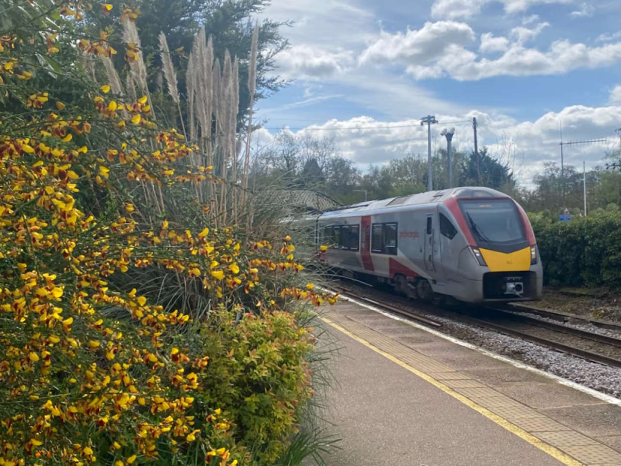 A Greater Anglia train passing through Brundall