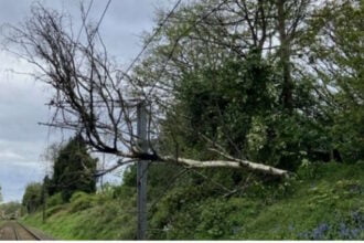 Fallen tree disrupts train services in West Midlands