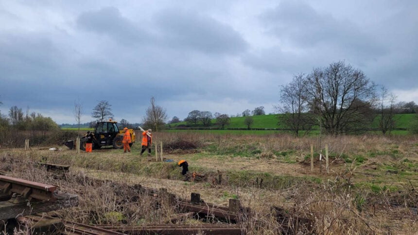 Kent railway reintroduces Elm Trees to the British countryside