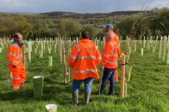 Network Rail plants 21,000 trees and shrubs near Dartmoor Line