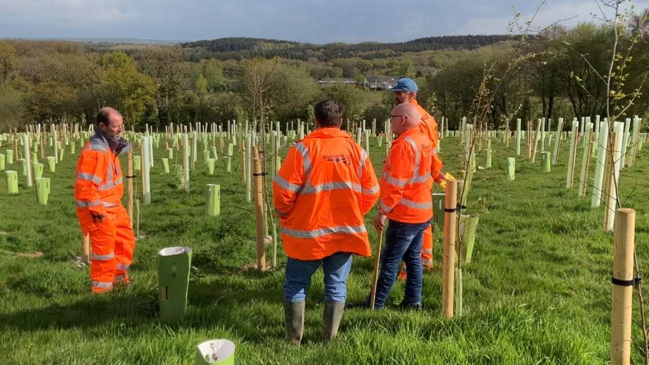 Okehampton ecology project (1)