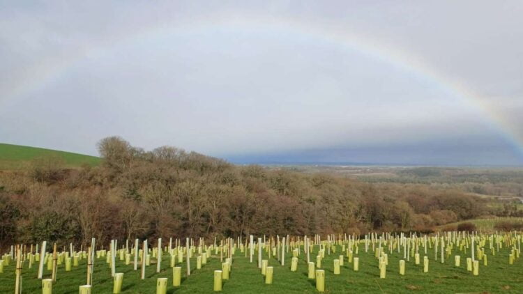 Okehampton rainbow. // Credit: Network Rail