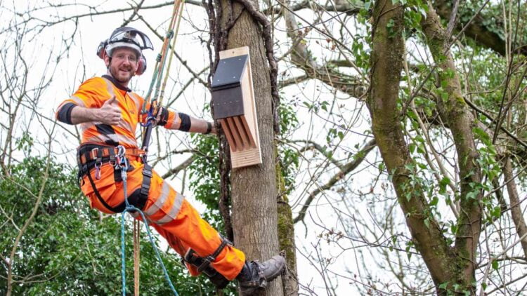 One of many nest box installations carried out by Network Rail - Network Rail