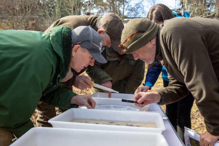 Members of the Findhorn, Nairn and Lossie Rivers Trust analyse and record different types of spices caught in a section of the river - LNER