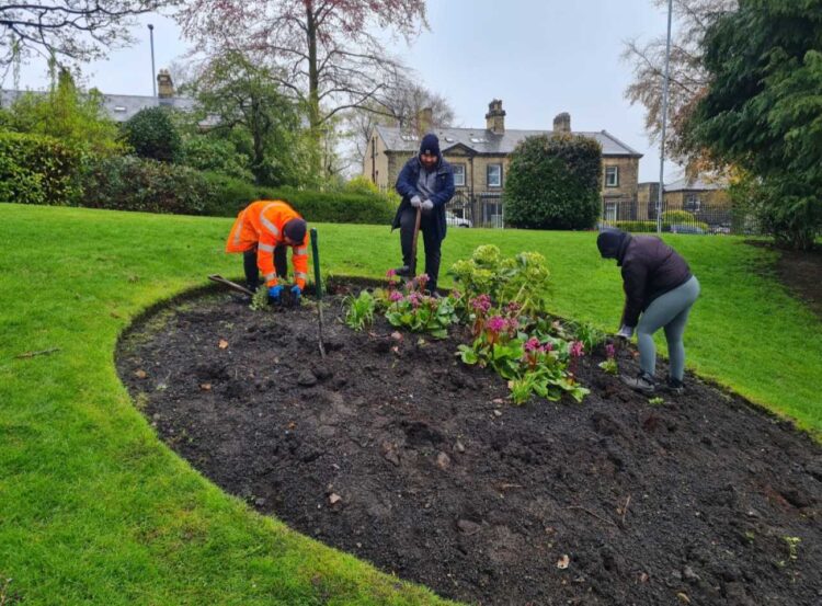 TransPennine colleagues and gardeners planting flowers -