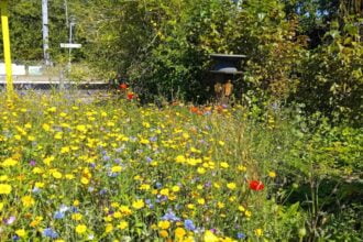 ‘Open Garden’ events coming to Essex railway stations