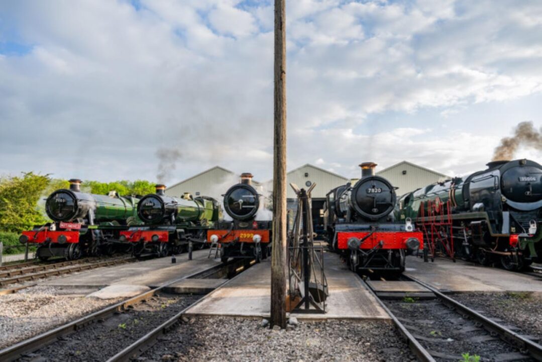An impressive line up of steam locomotives at the Cotswold Festival of Steam - Jack Boskett