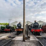 An impressive line up of steam locomotives at the Cotswold Festival of Steam - Jack Boskett