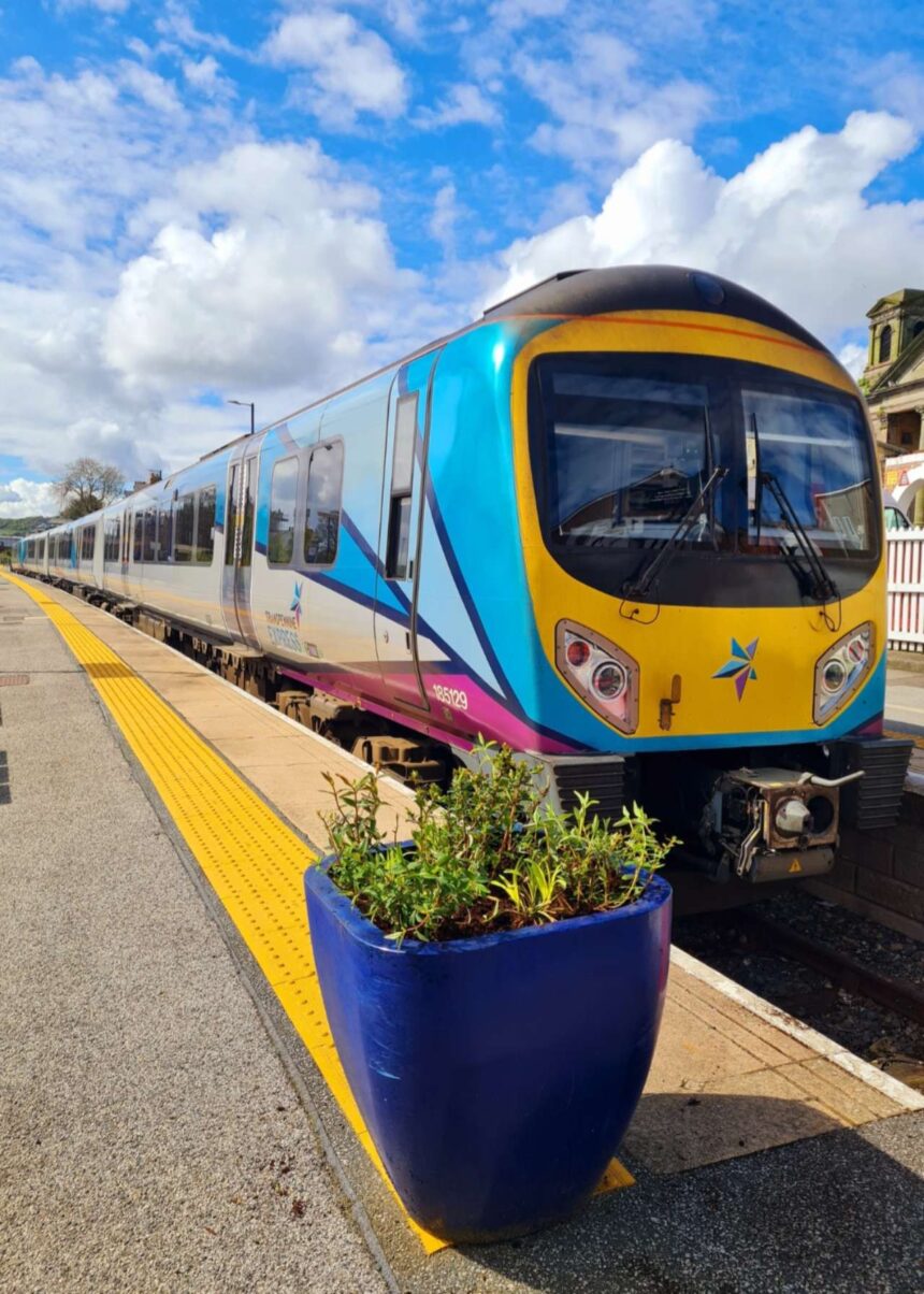 TransPennine Express improves biodiversity at Yorkshire railway stations