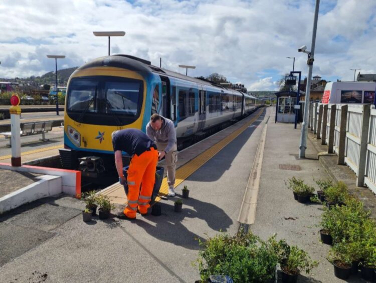 New planters installed at TPE stations