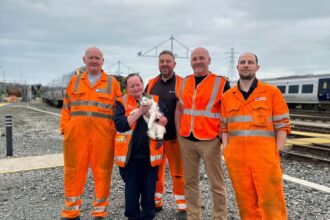 Public’s help being sought to name Cumbrian railway cat