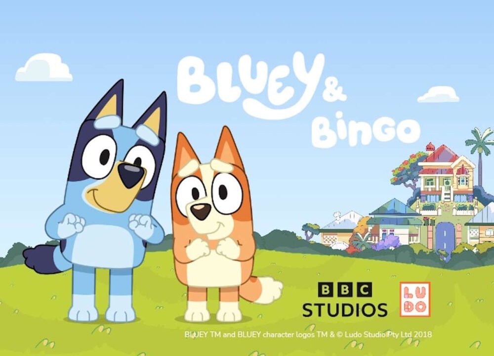 Bluey and Bingo