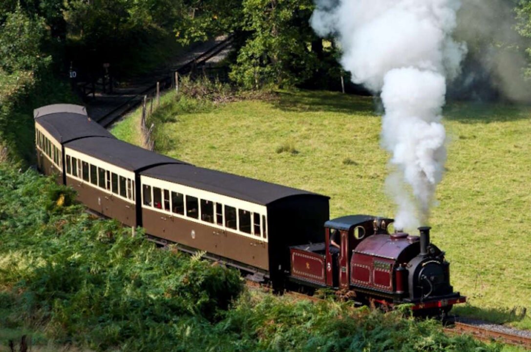 Palmerston on the Vale of Rheidol Railway. // Credit: Vale of Rheidol Railway