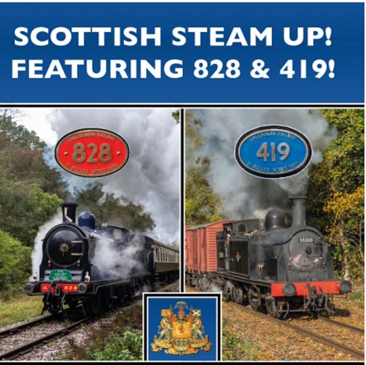 Poster of 828 and 419