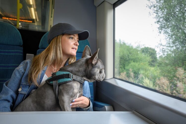 Owner and dog off exploring on a Southern Railway train - Peter Alvey