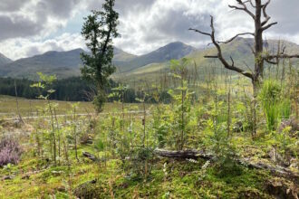 Vital biodiversity project completed by Network Rail and Forestry and Land Scotland