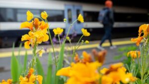 Southeastern train and plants - Southeastern