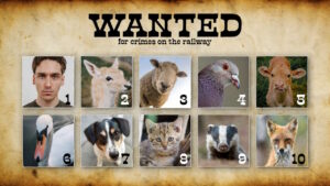 Top ten trespassers on the railway. // Credit: Network Rail