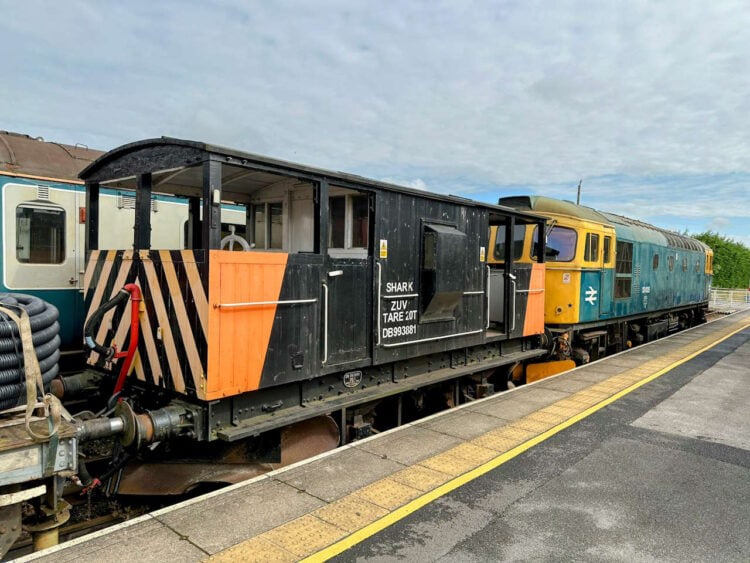 Shark Brake Van // Credit: Nick Keegan