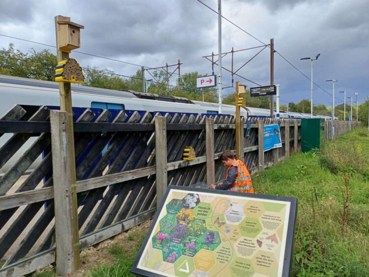 Homes for nature at Bayford station