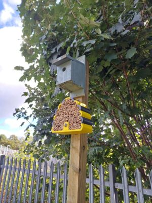 Homes for nature at Bayford station